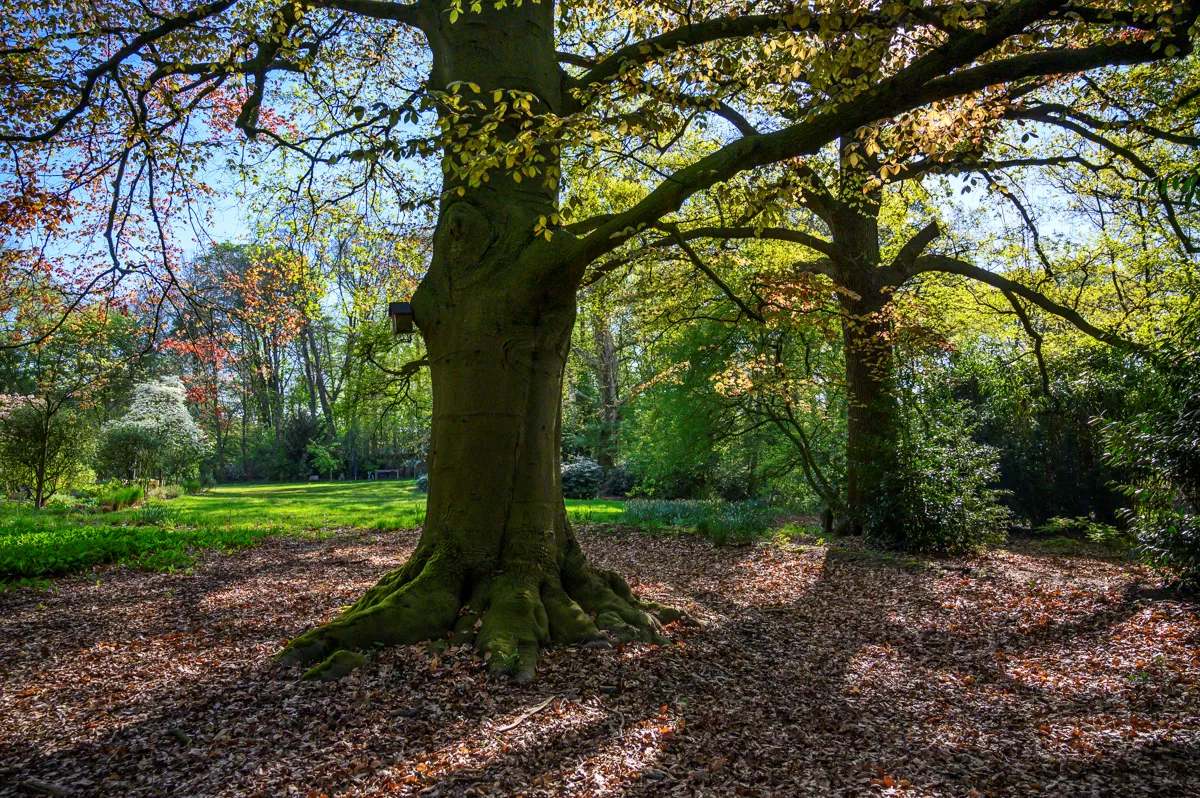 Midzomeradem - juni 2019